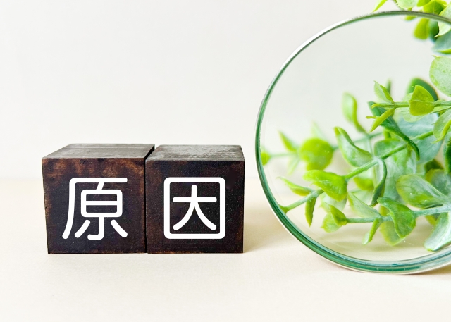 原因