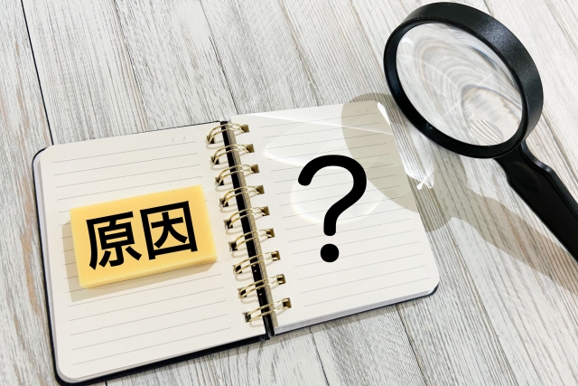 理由　？